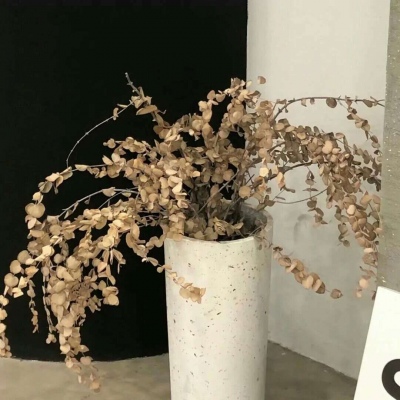 Furry插画构图思路兽圈社群